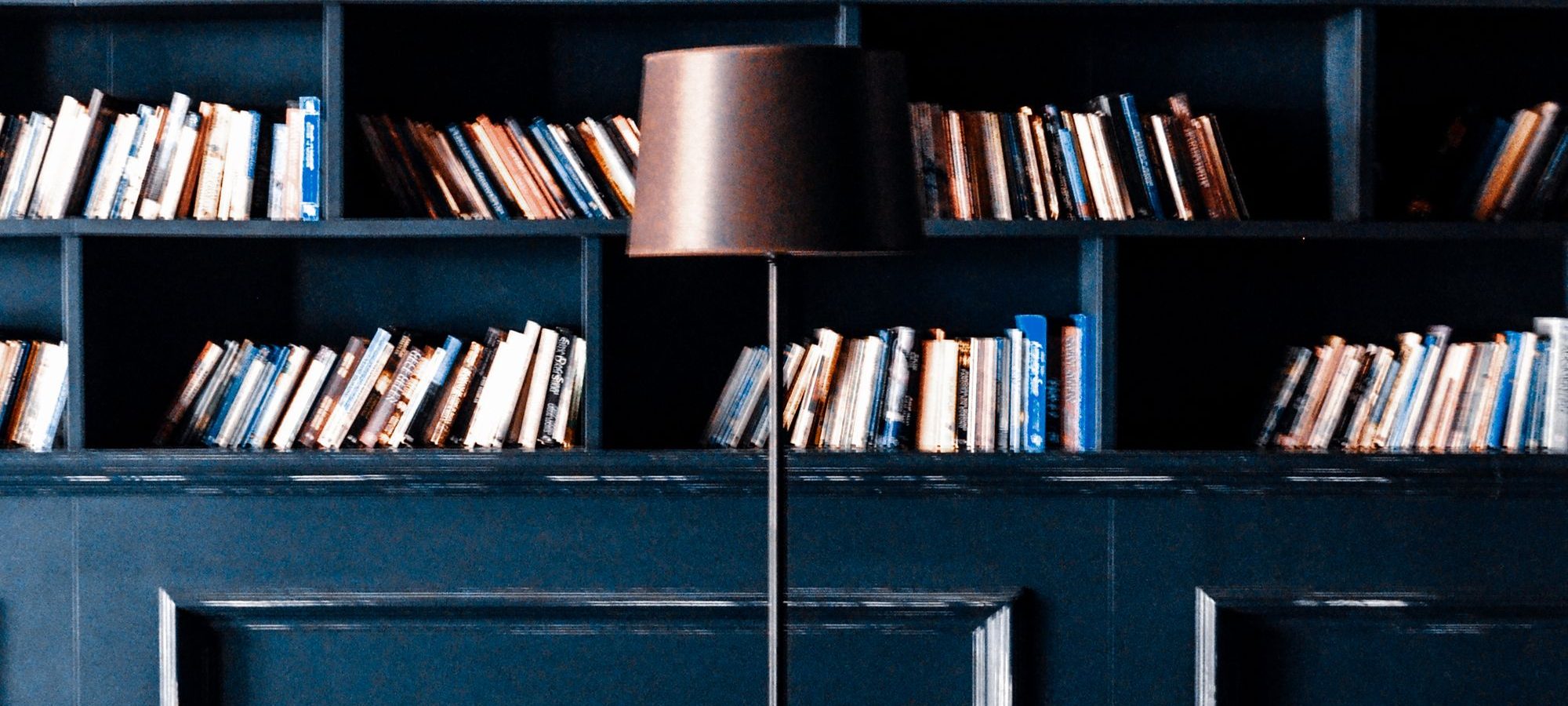 Dunkle Bibliothek mit gefüllten Bücherregalen und einer Stehlampe